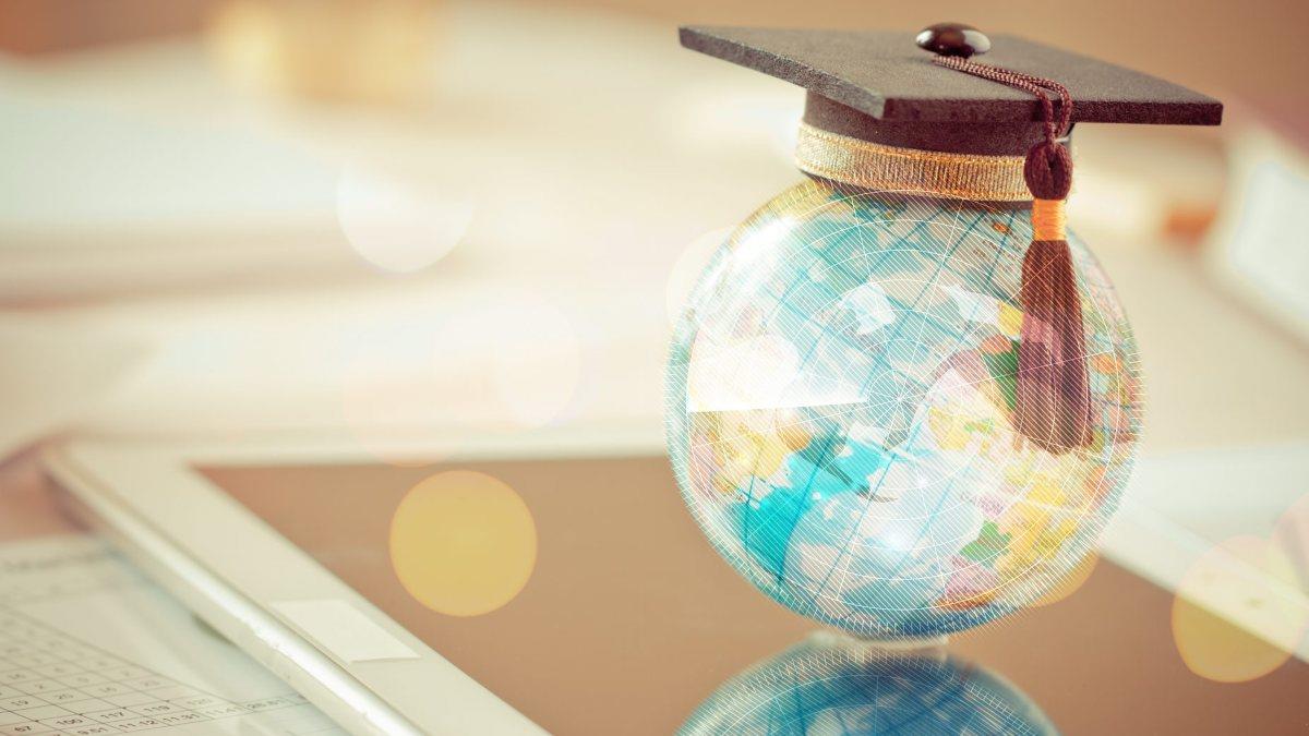 licenciaturas cortas-13