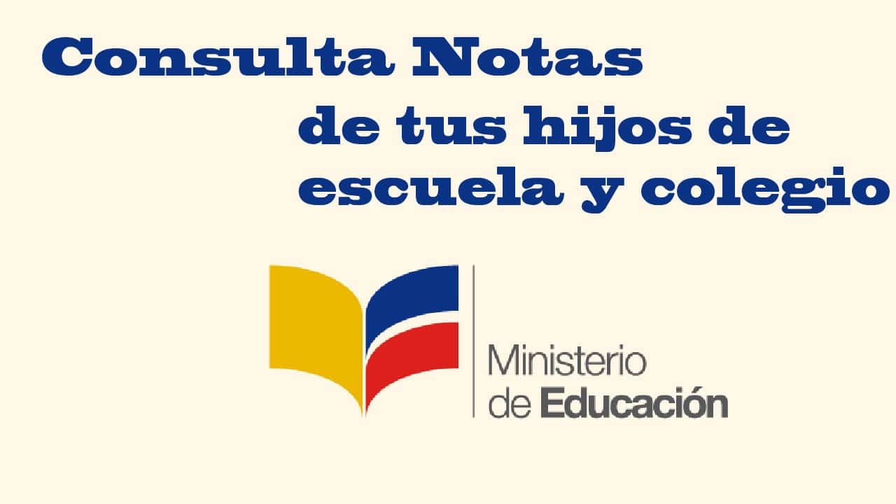 consulta-de-notas