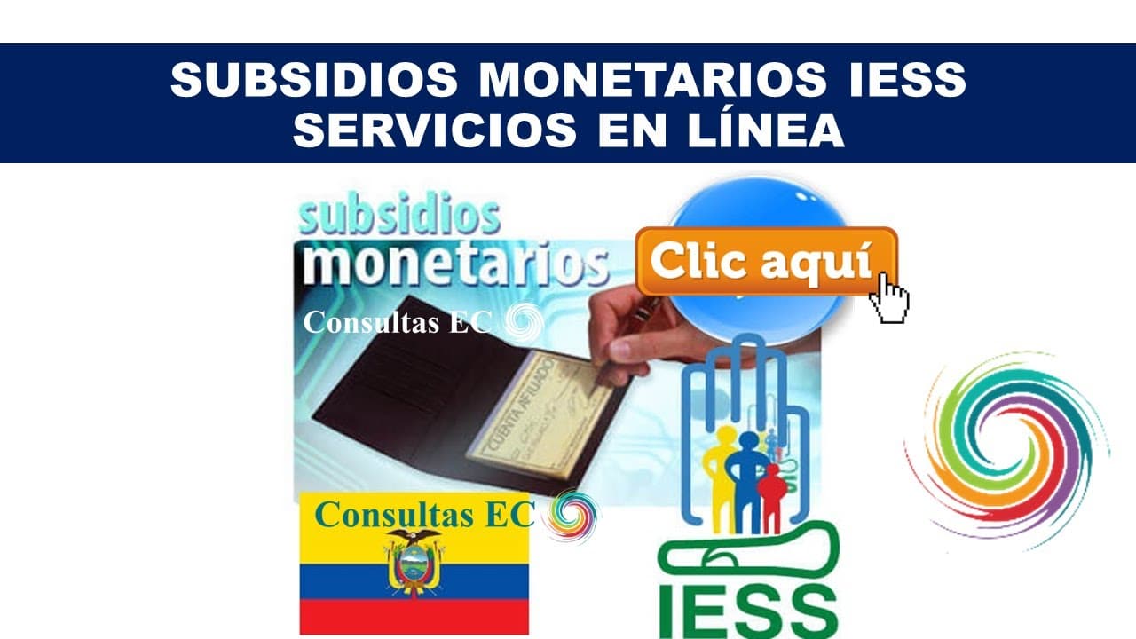 subsidios IESS