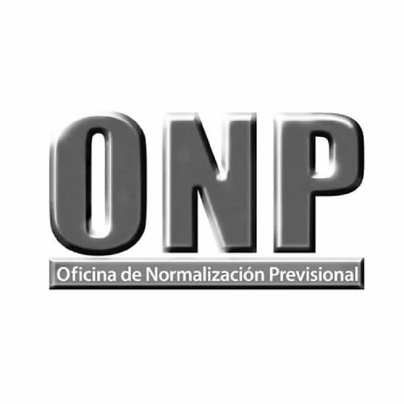 CONSULTA ONP