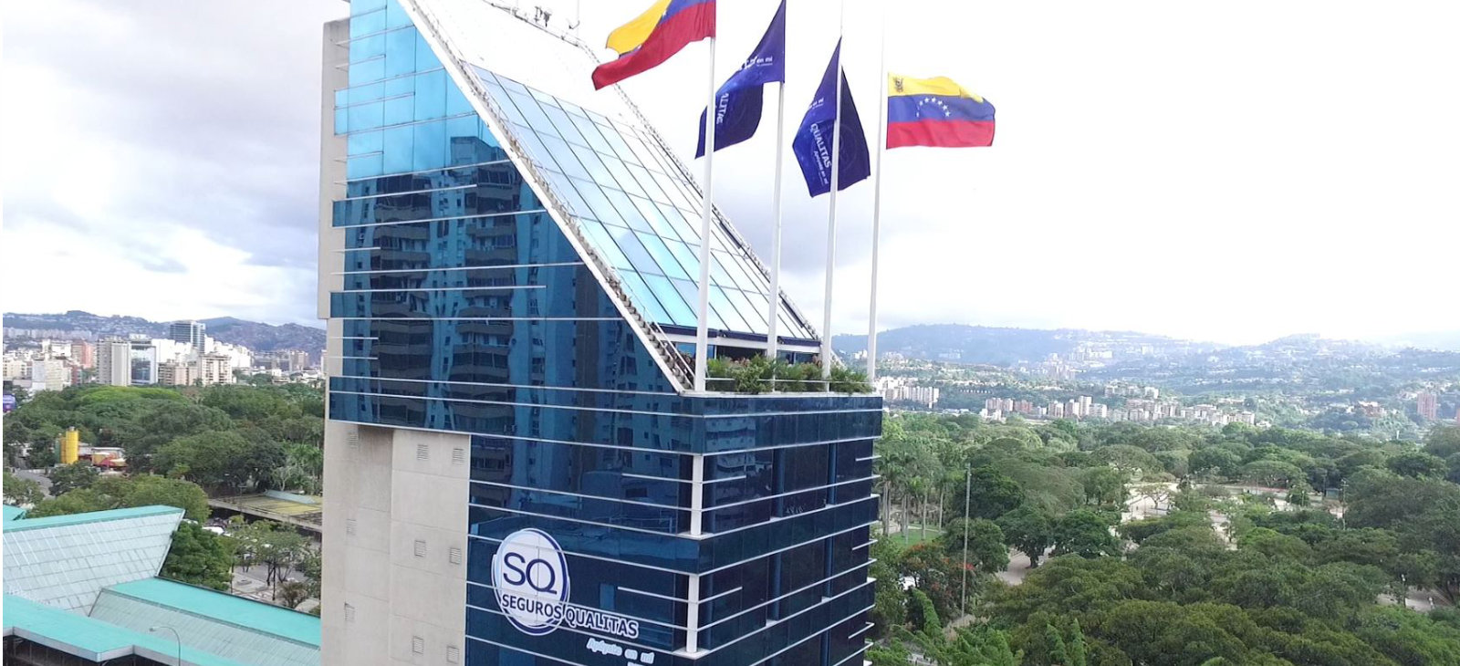 qualitas pago en línea